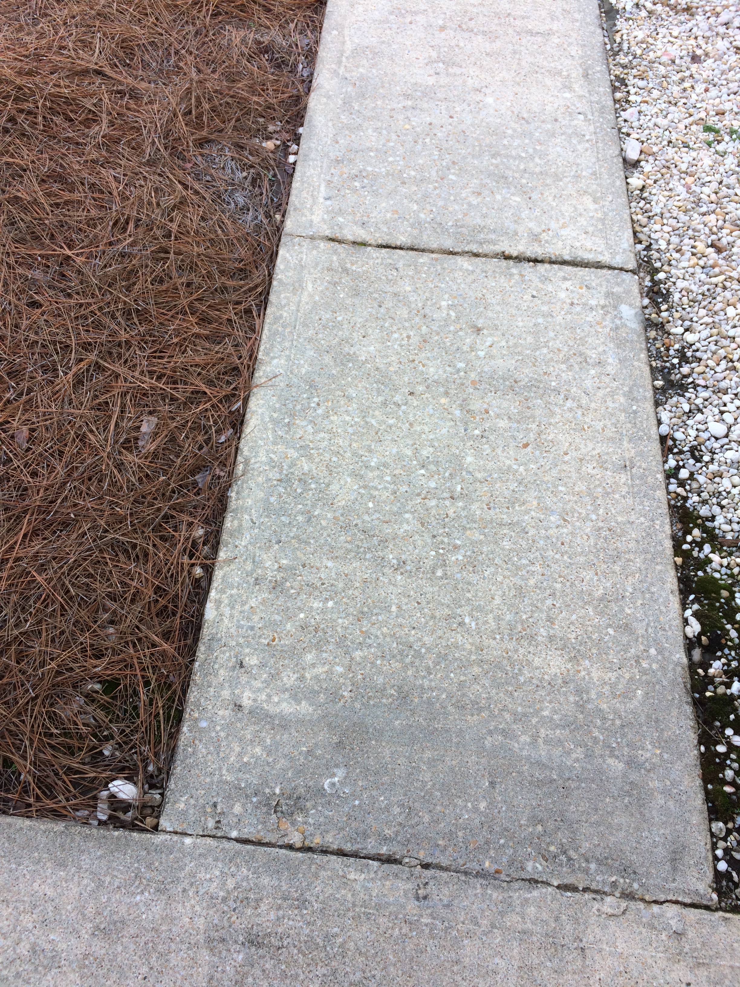 Pressure Washed Cleaned Sidewalk Pressure Washed Cleaned Sidewalk