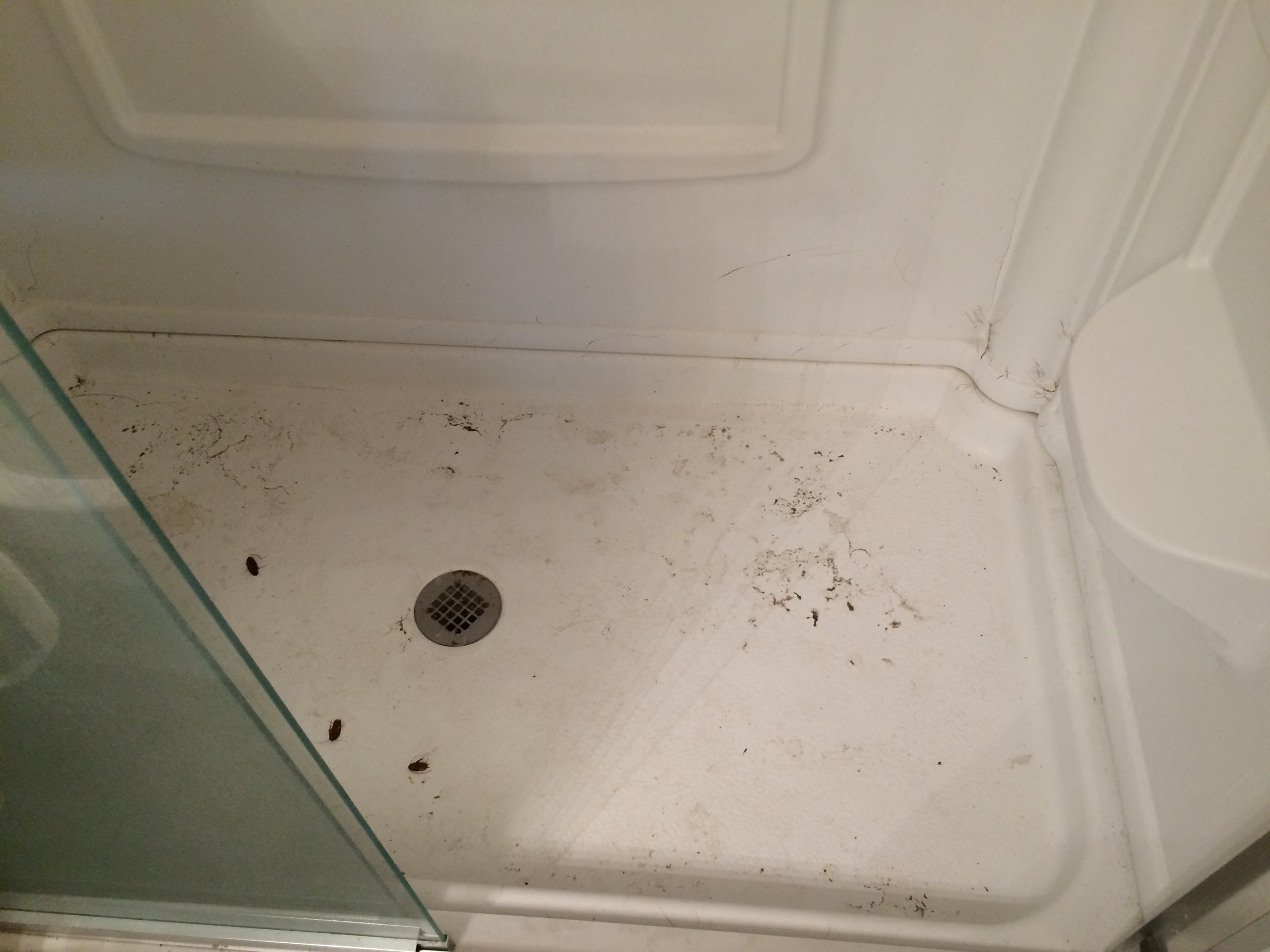 Another Dirty shower